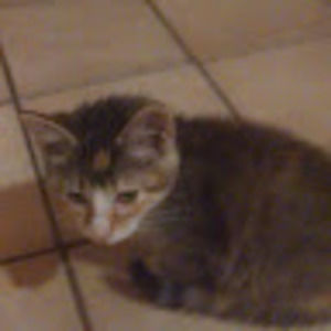 Meet your Posher, Kathy